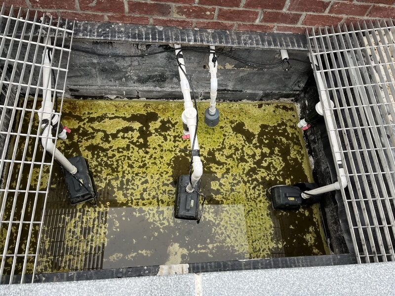 Fountain basin during deep cleaning service, Raleigh